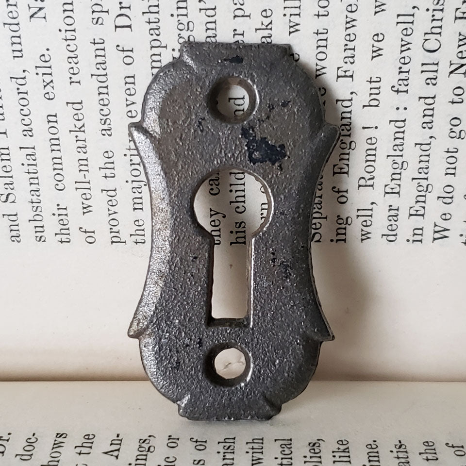 Your Guide to Escutcheon Plates - Old West Iron