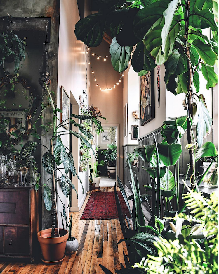Winter-Proof Your Plants with Old West Iron's Stylish Solutions - Old West Iron