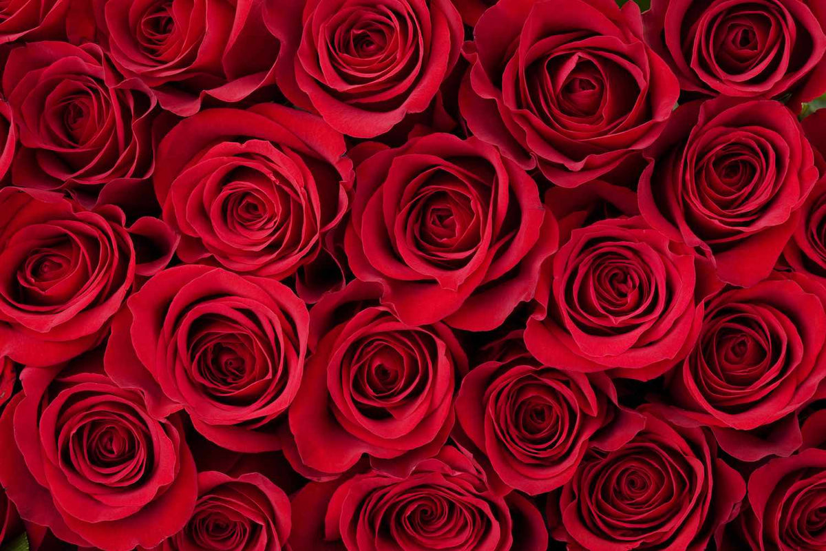 DIY Valentine’s Gift Ideas to Show Your Love (and Creativity!) - Old West Iron