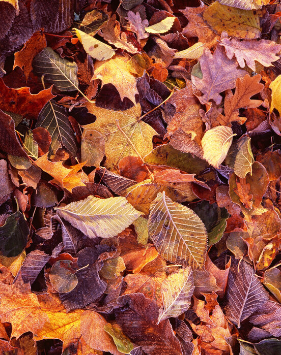 Warming Up Your Home with Iron Strapping This Autumn - Old West Iron