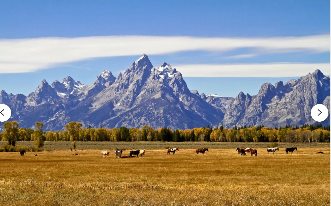 How Blacksmithing Shaped the American West - Old West Iron