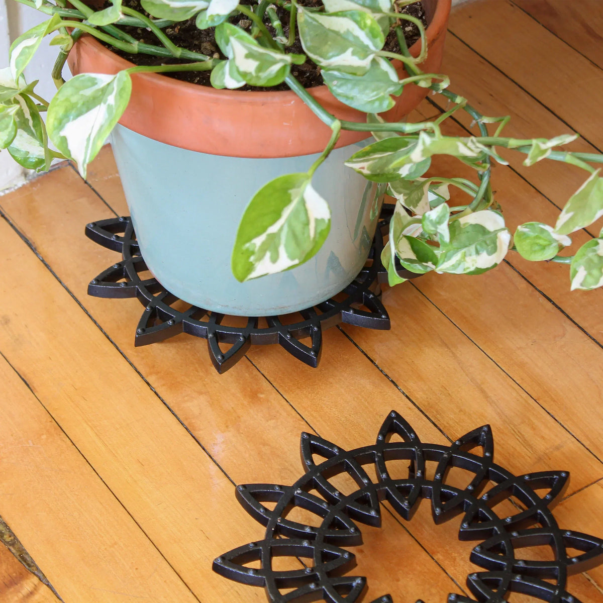Everything You Need to Know About Iron Trivets and Pot Holders - Old West Iron