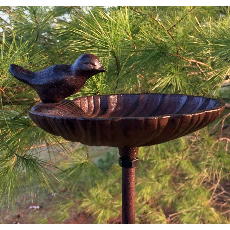 Iron Scallop Birdbath - Old West Iron