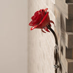 Framed Red Metal Rose - Old West Iron