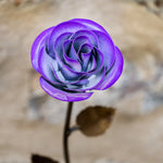 Hand-Forged Purple & White Metal Rose - Old West Iron