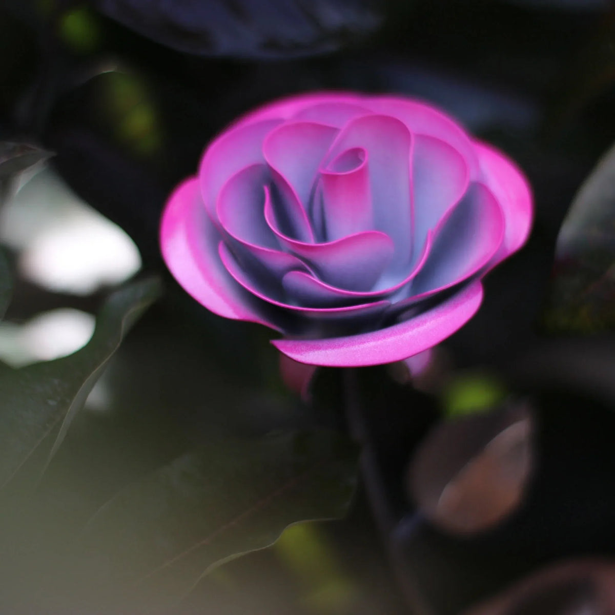 Hang Forged Pink and White Wrought Iron Rose - Old West Iron