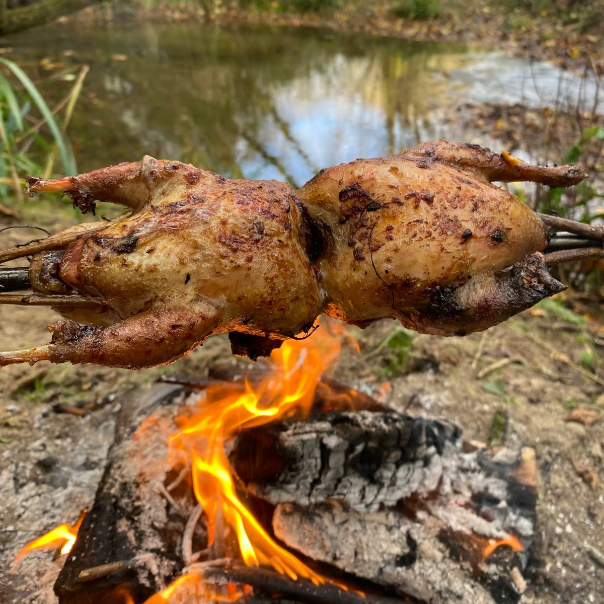 Hand Forged Rotisserie Ground Camping Spit - Old West Iron