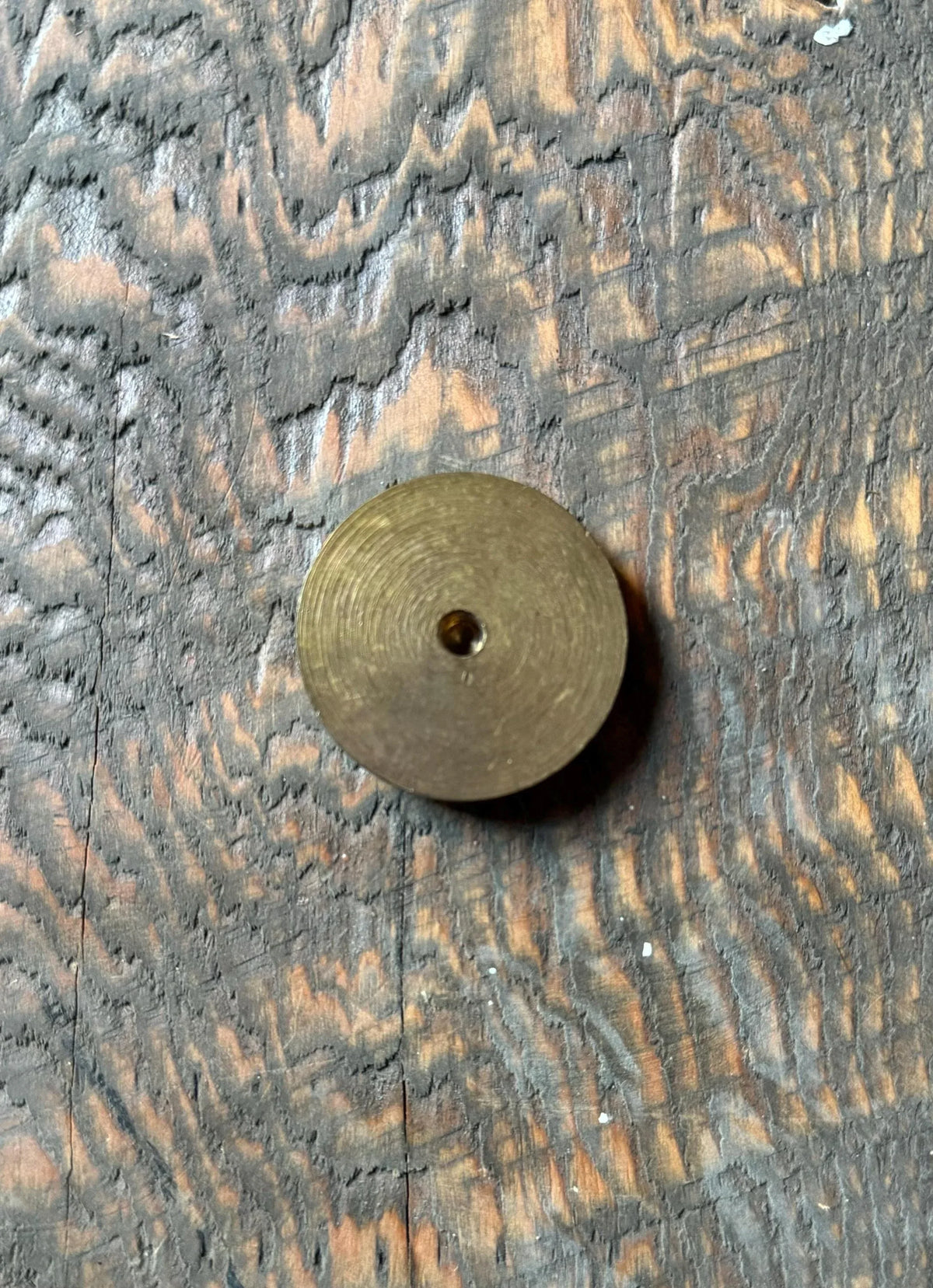 Brass Floral Rosette with 1/4” Threaded Hole - Old West Iron