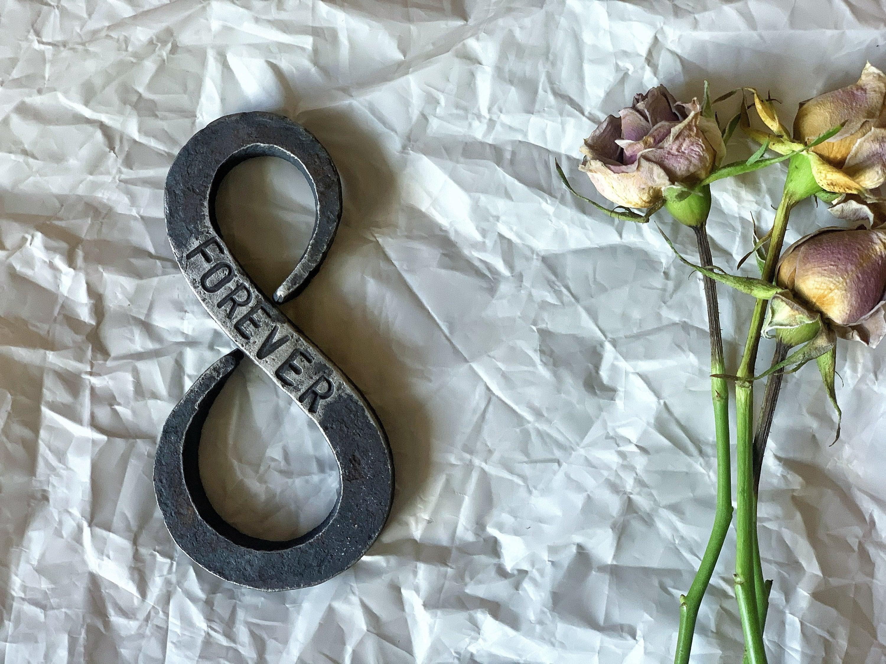 Iron Infinity Symbol - Old West Iron